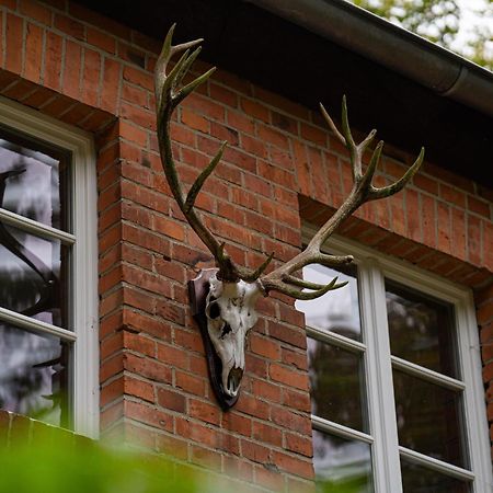 Wald- Und Seeidyll Im Historischen Forsthaus Neuruppin Luaran gambar